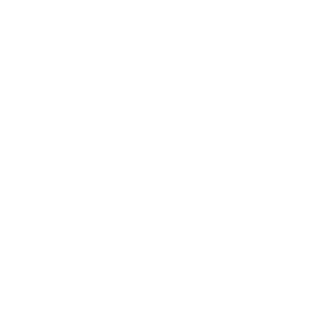 Publicis Groupe